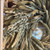 Mixed Green Grains Wreath