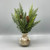 Arborvitae Bush