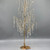 Dripping Pearl Tree