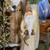 Decorative Gold Resin Santa