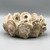 Handmade Oyster Shell Bowl