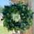 Mixed Faux Eucalyptus Wreath