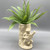 Faux Fern with Roots