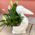 Cement & Coral Pelican Planter
