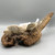 Large Oyster Shell Magnolia on 18" Driftwood