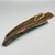 Hand Painted Palm Bark - Teal Pelican