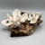 Flat Driftwood Handmade Shell Magnolias