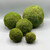 Decorative Moss Ball