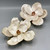 Hand Painted Oyster Shell Magnolia