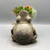 Resin & Cement Frog Planter