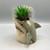 Ceramic Shark Planter