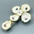 Oyster Cross with Gold Trim