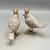 Bird w/Crown