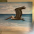 Hand Painted Beach Pelican on Wood