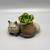 Sleepy Kitty Planter