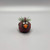 Plant w/Baby Cardinal Planter