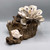 Handmade Shell Flower w/Rose Gold Trim on Driftwood