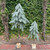 Plastic Pine Tree w/Wood Base & Snow Finish