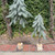 Plastic Pine Tree w/Wood Base & Snow Finish