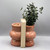 Coral Terracotta Vase Bookends