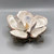 Hand Painted Rose Gold Trim Oyster Shell Magnolia