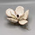 Hand Painted Rose Gold Trim Oyster Shell Magnolia