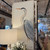 Set of 2 Cranes on Canvas