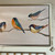 Birdie Birds Framed Canvas