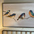 Birdie Birds Framed Canvas