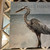 Great Blue Heron Glicee Wall Art