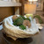 Large Seashell Decorative Bowl