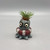 Plant w/Ollie the Octopus Planter