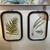 Framed Fern Fronds Print