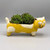 Yellow & White Cat Planter