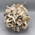 8" Oyster Shell Ball w/Twine Hanger