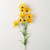 Yellow Daisy Stem