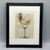 French Bulldog in Martini Glass Framed Book Print