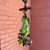 Sitting Frog Wood Wind Chime