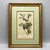 Framed Warbling Litho by J.J. Audubon