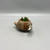 Plant w/Ernesto Armadillo Planter