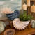 Nautilus Shell Vase