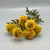 Bundle of Mustard Dalhias