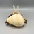 Driftwood Hermit Crab in Melon Shell