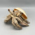 Driftwood Hermit Crab in Melon Shell