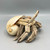 Driftwood Hermit Crab in Melon Shell