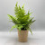 Faux Fern in Paper Pot