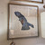 Framed Bluebird 2 Print