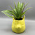 Yellow Fox Pot