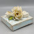6"X6" Clay Magnolia On Canvas