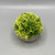 Round Boxwood Topiary